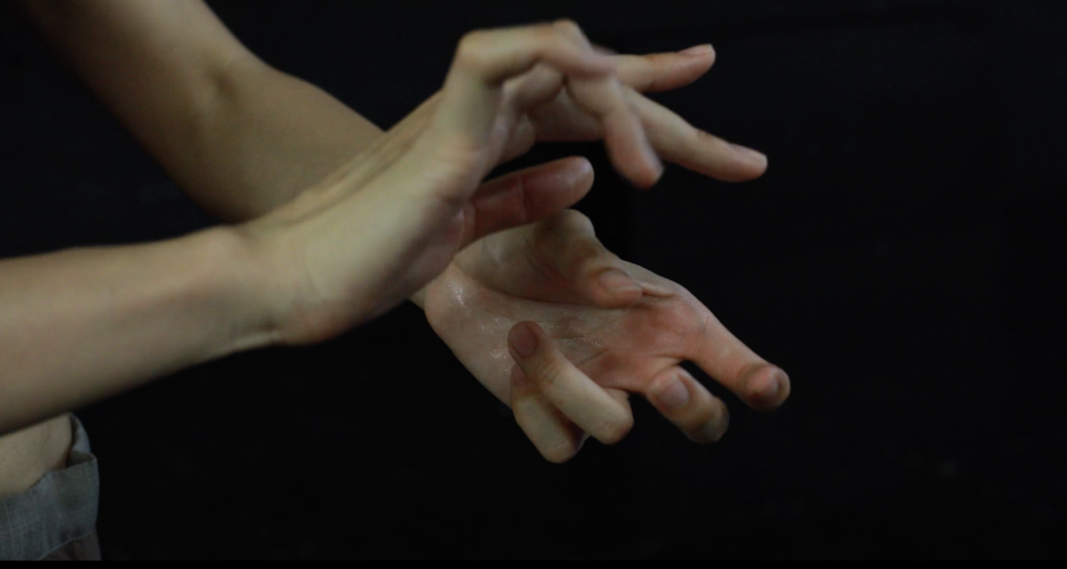 SWANS_hands dance . Choreographer Mar Aguiló. Performer Chantel Fo.